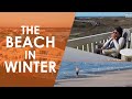 The Beach in Winter | North Carolina Weekend | UNC-TV