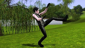 Sims 3 Motion Capture Animation Test - Using 3D Studio Max