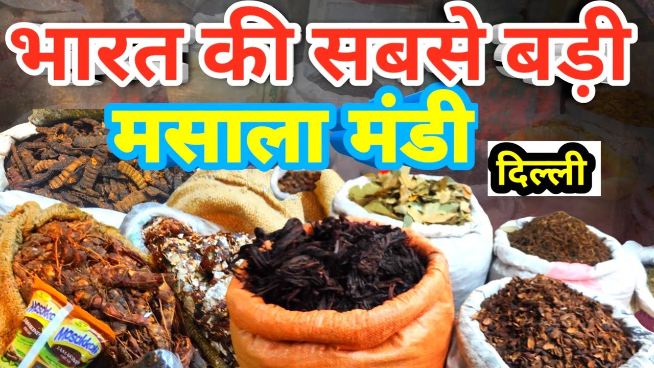 Exploring Delhi’s Biggest Spice Market | Galotia Market Wholesale Spices | Fresh & Authentic