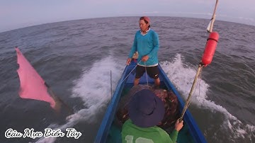 Cách Ngư Dân Biển Tây Cà Mau Bủa Lưới Tôm |Câu Mực Biển Tây #14