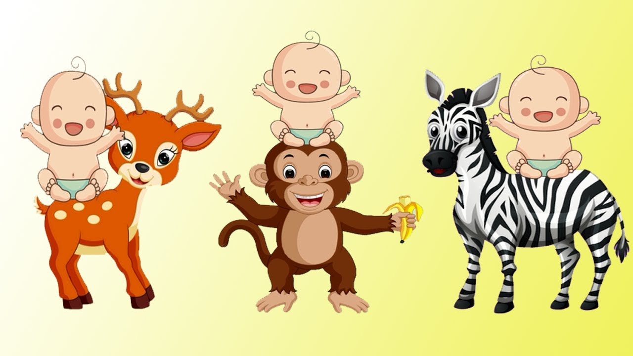  Suara  hewan  dan bayi menari Nama nama hewan  untuk  anak 