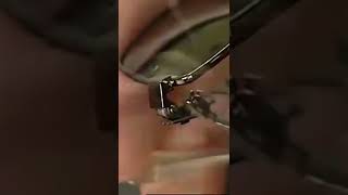 Product Link in Comments & Description! - Keychain Key Survive Pocket Opener Mini Screwdriver Tool by GoodsVine 6 views 1 year ago 1 minute, 49 seconds