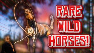 Taming RARE Horses in Red Dead Redemption 2! | RedM Equestrian