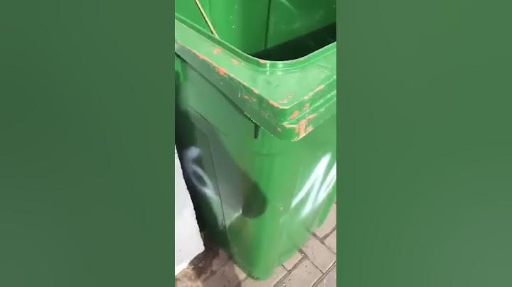 מדוע עיריית חולון צובעת פחים כתומים בירוק?