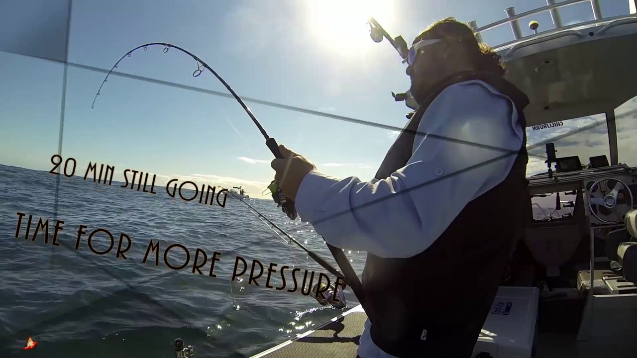 Downrigging Sydney Kingfish YouTube