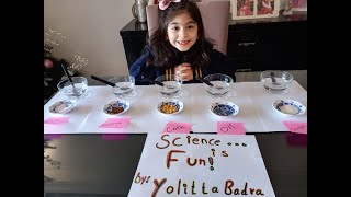 Kids Dissolving Experiment