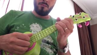 Ukulele İle Uzun İnce Bir Yoldayım