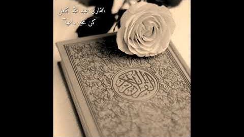 الشيخ عبدالله كامل / تلاوة قصيرة/ تلاوات قصيرة / حالات واتس اب