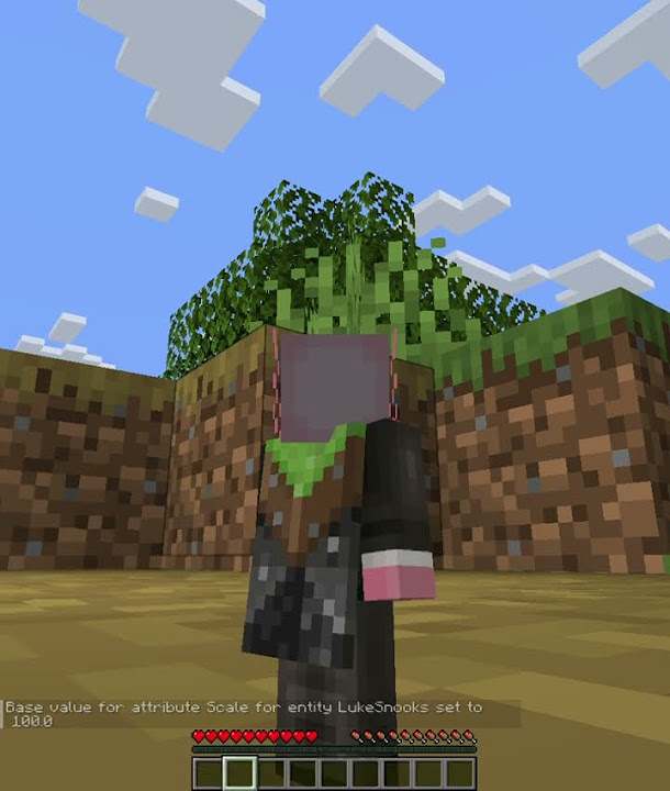 How To Become Tiny Or GIANT In Minecraft Java NO MODS Copy And Paste In ...