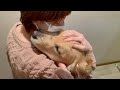 １０日ぶりに再会した愛犬が、本当の息子のように抱きついてくる