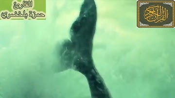 دعوة ذو النون بصوت القارئ حمزة بلخضري