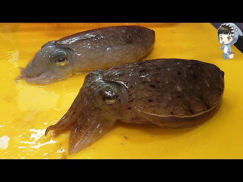Video: Yuav Ua Li Cas Ua Noj Korean Cuttlefish