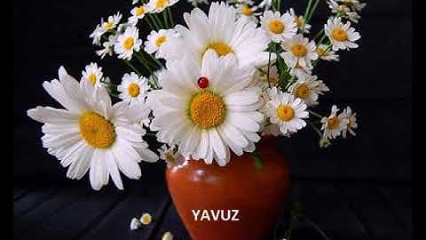 Thumbnail of GÖKHAN SEZEN- ŞEYTANA UYDUK