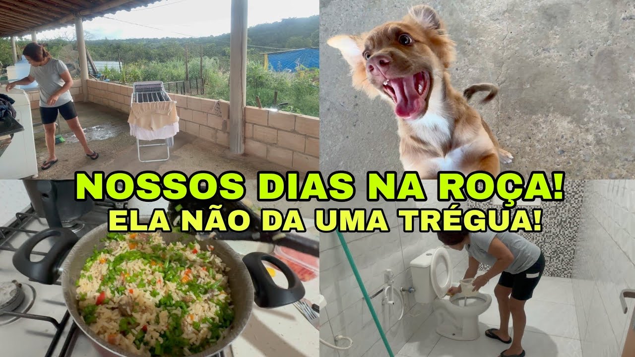 EU AMO ASSIM! NOSSA DIA HOJE POR AQUI FOI ASSIM! #viral / cantinho da Malu 