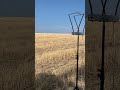 20 калибр отстрел на скорость , самокрут на латуни  #охота #hunting #20cal