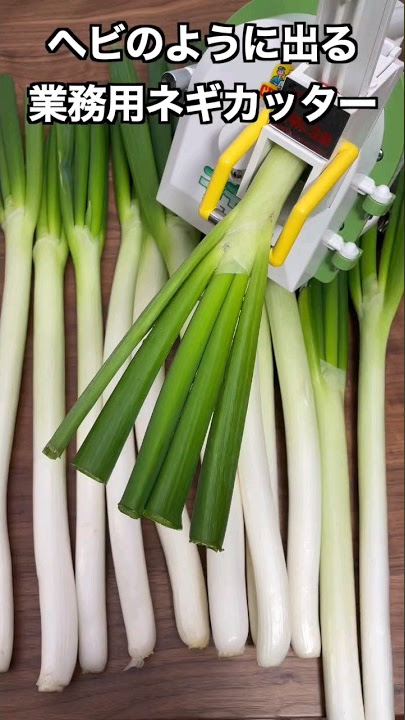 Green Onion Cutter GW-802 – Mr. Peely