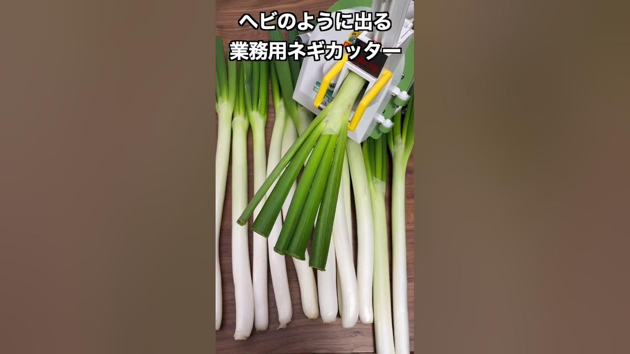 Green Onion Slicer – Ramen Tool