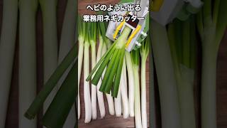 Taras Kul - Japanese Green Onion Chopper - Leek Slicer