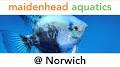 Video for Aquatics norwich