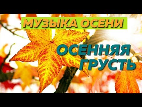 ☀♫ Янтарный Листопад - Красивая Музыка Осени - YouTube