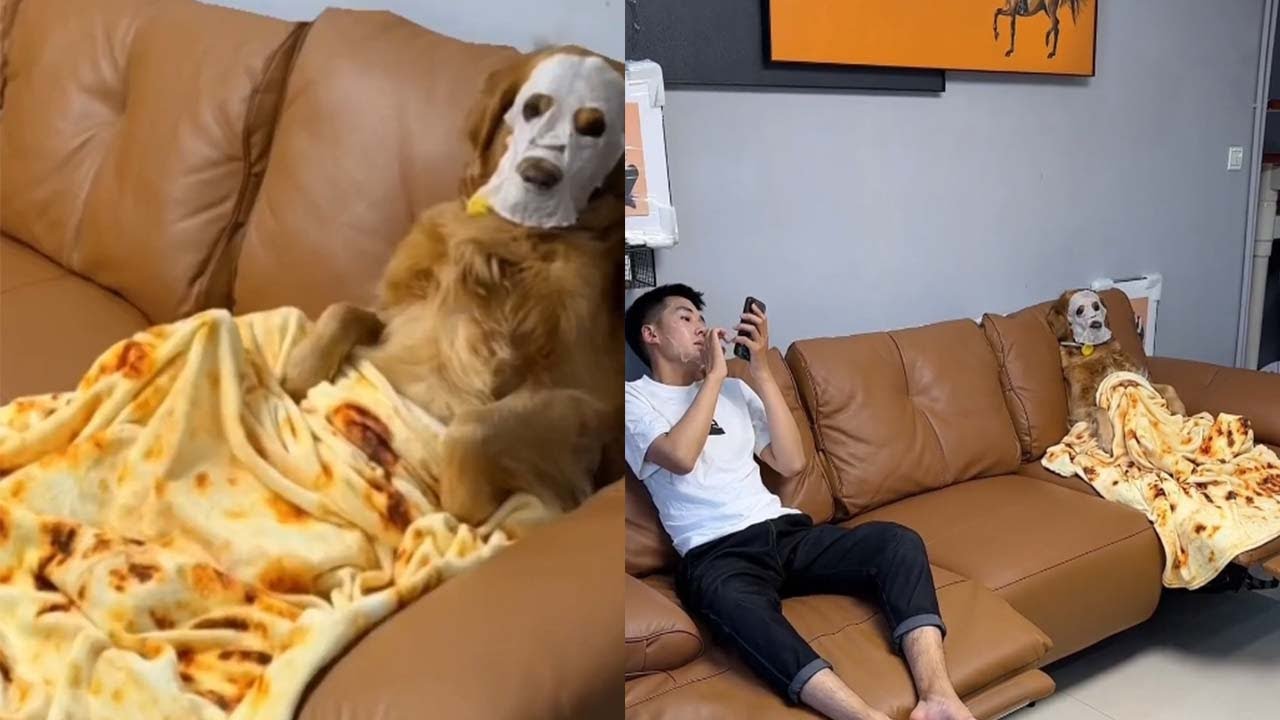 那些让人忍俊不禁的狗狗名言