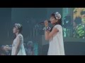 ピーベリー 『キャベツ白書』(LIVE)