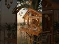 I Built a Luxury Treehouse on a Giant Jungle Tree 🌳🏡 #bunker #survival