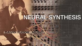 Feedback Networks in the Style of David Tudor