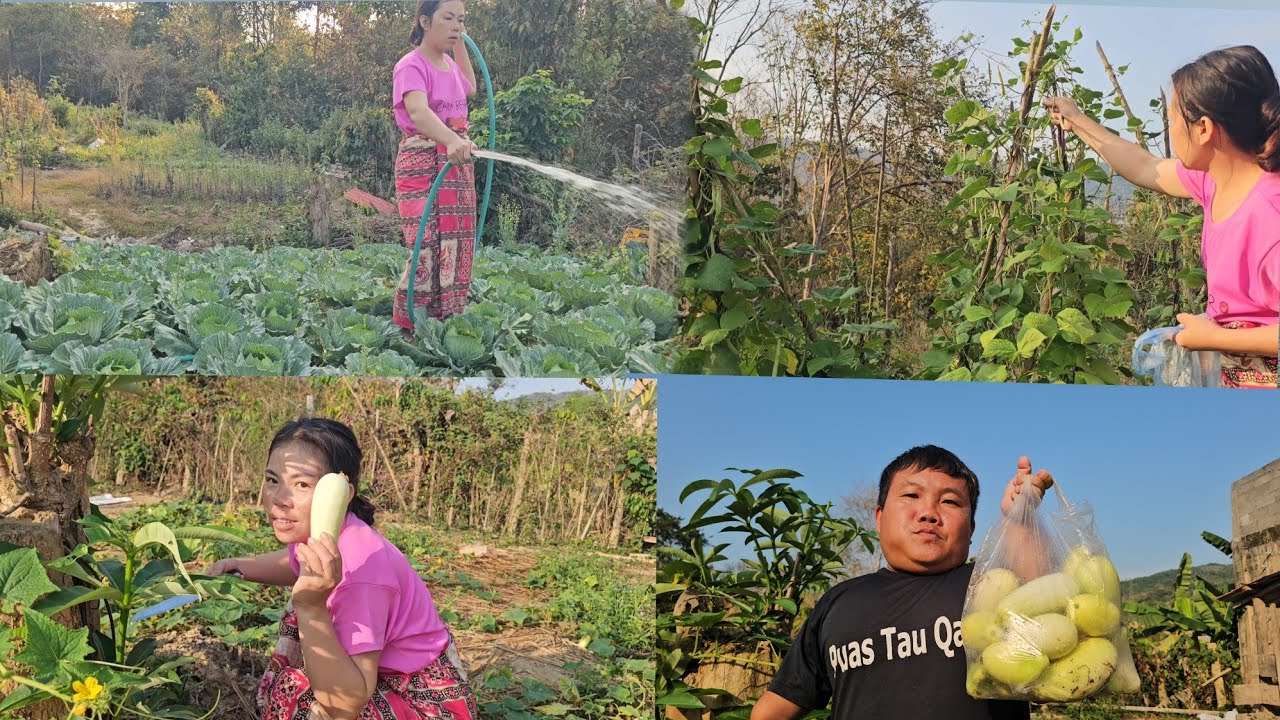 20 กุมภาพันธ์ ค.ศ. 2026