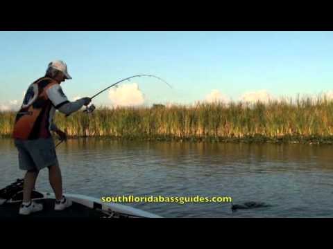 Florida Everglades Bass Fishing Guide John Pate Ca...