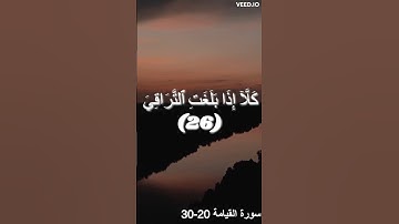 القارئ عثمان بن مشعل الحداد  | تلاوة خاشعة