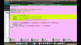 Bash Automation Script