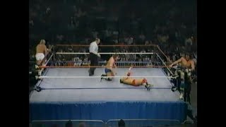 Randy Savage & Bob Orton vs Paul Orndorff & Tito Santana Resimi
