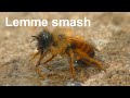 Lemme smash Bee version (Original)