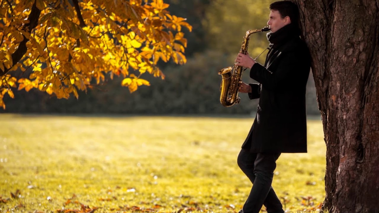 Красивая мелодия на саксофоне. Саксофонист. Саксофон осень. Осенний лес саксофонист. Саксофонист в осеннем саду.