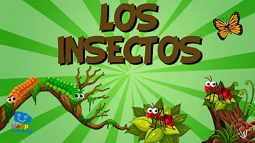 ¿Cuáles son los insectos más conocidos?