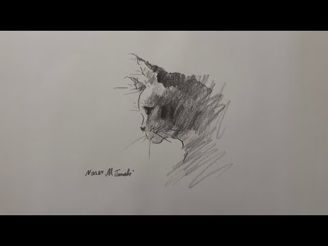 رسم قطة صغيرة سعيد بالرسم