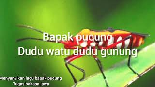 Lagu bapak pucung