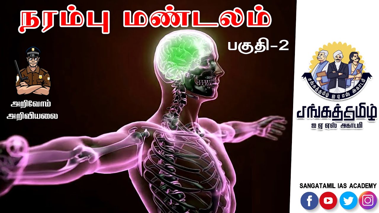 TNUSRB | SCIENCE | நரம்பு மண்டலம் | Nervous system in Tamil Part 2