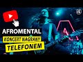 Alek Baron i Tomek Torres - relacja z koncertów Afromental nagrana telefonem