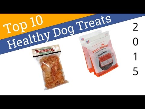 Video: Top 10 Freedom Finds for Your Patriotic Pooch