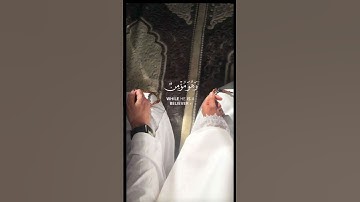 #راحة_نفسية #قرآن #love #quran #هدوء #foryou #آيات #تلاوة_هادئة #ايات_قرانيه_قصيره