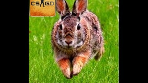 CS:GO | So I learnt how to Bunny Hop