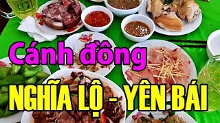 Cánh Đồng Ngĩia Lộ - Yên Bái (2019) I Dzung Viet Vlog