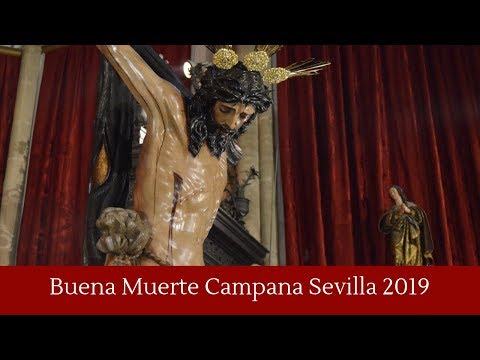 Real e Ilustre Hermandad Sacramental de la Inmaculada Concepción, Franciscana, Primitiva y Cisterciense Cofradía de Nazarenos de la Piedad de Nuestra Señora, Santísimo Cristo de la Buena Muerte, Santa María Magdalena y María Santísima de la Hiniesta Dolorosa y Gloriosa Coronada