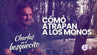 Cómo atrapan a los monos | &quot;Charlas en el bosquecito&quot; EPISODIO 2 con Juan Bautista Segonds