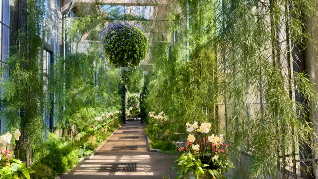 Longwood Gardens Conservatory Tour! Walk Through the Largest Glass House in Pennsylvania!