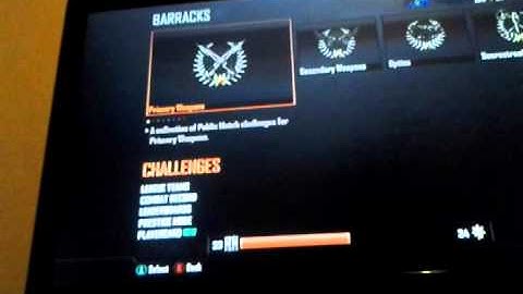 I reset my stats on bo2