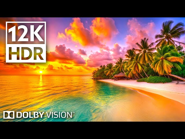 Real Paradise 12K Dolby Vision HDR (120fps) class=