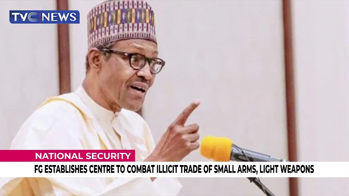 FG Establishes Centre To Combat Illicit Trade Of Small Arms, Light Weapons